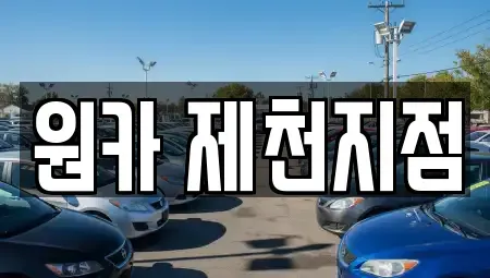 충청북도 제천시 의림동 렌트카 전문 원카 제천지점