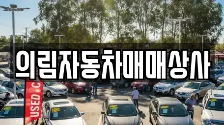 충청북도 제천시 의림동 중고차,렌트카,중고차매입,중고차매매,장기렌트카,단기렌트카