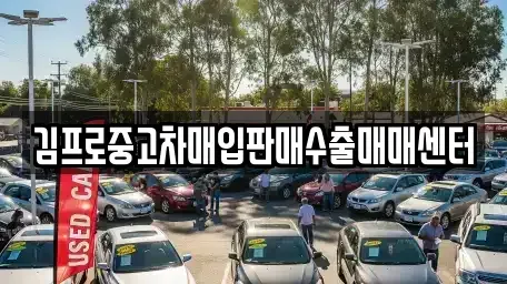 충청북도 제천시 의림동 중고차매입 전문 김프로중고차매입판매수출매매센터