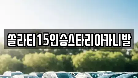 충청북도 제천시 자작동 렌트카 전문 쏠라티15인승스타리아카니발