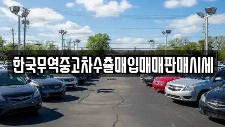 충청북도 충주시 살미면 중고차 전문 한국무역중고차수출매입매매판매시세