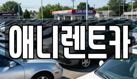 충청북도 충주시 성서동 렌트카 전문 애니렌트카